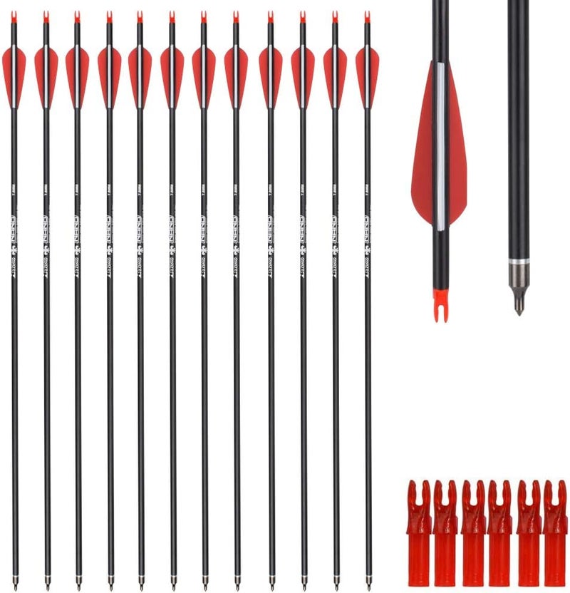 Yls Archery 26/28/30Inch Carbon Arrow Practice Hunting Arrows with100 Grain Removable Tips for Compound & Recurve Bow(Pack of 12) - Image 1